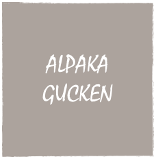 
ALPAKA
GUCKEN
